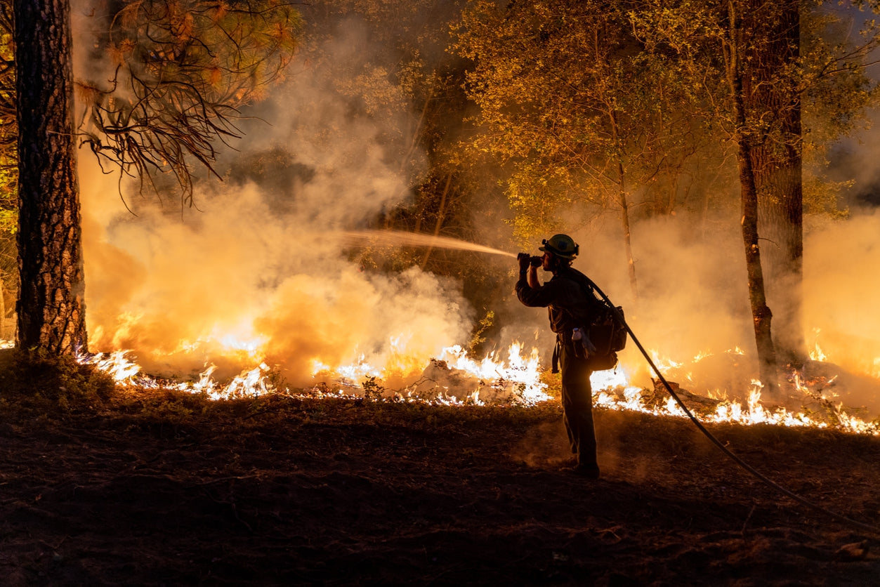 Maui Wildfires Devastate Hawaii-eSafety Supplies, Inc