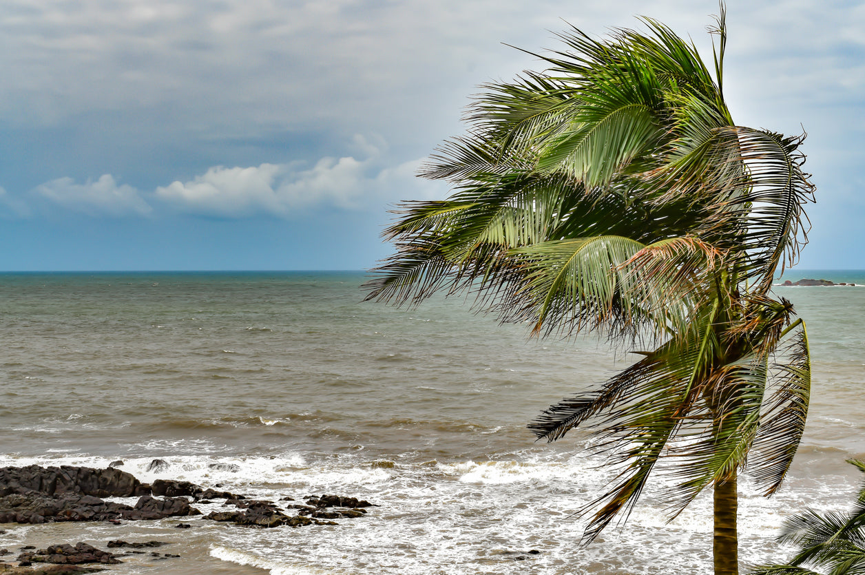 Understanding the El Niño Phenomenon: Its Impact on US Weather