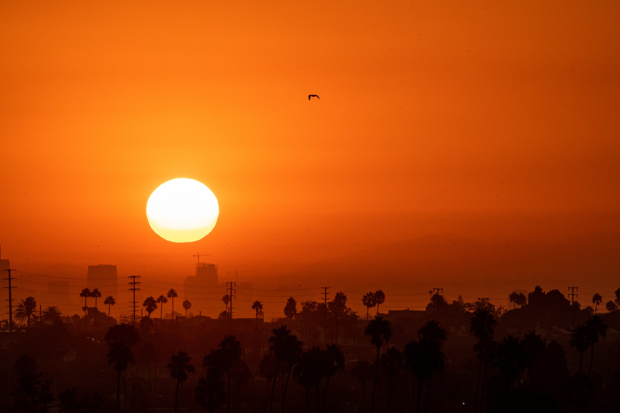 What Causes Extreme Heat in California