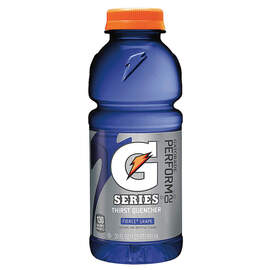 Gatorade® 20 Ounce Riptide Rush™ Flavor Drink In Ready To Drink Bottle