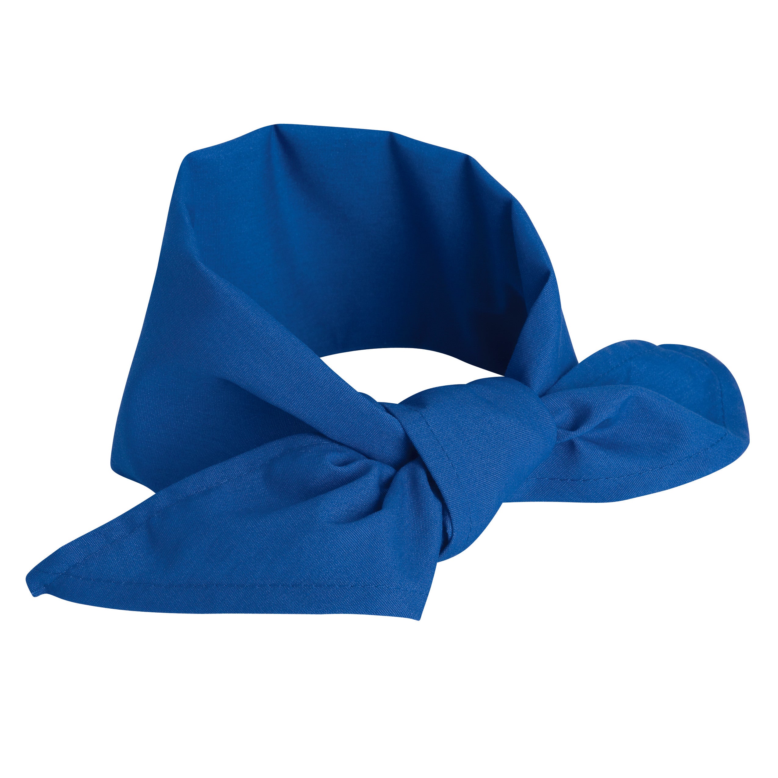 Neckerchief NP12 - Royal Blue-eSafety Supplies, Inc